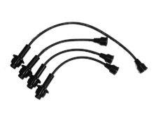 CD064 金杯491多点